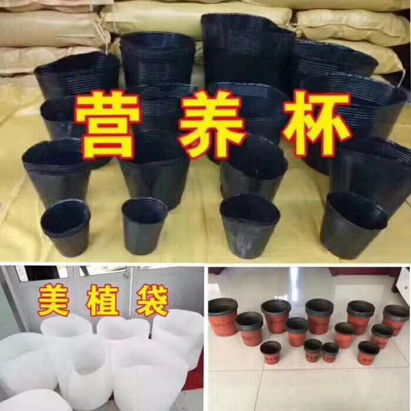 蓝色白色营养钵，育苗钵，营养碗育苗碗，加厚型营养钵，