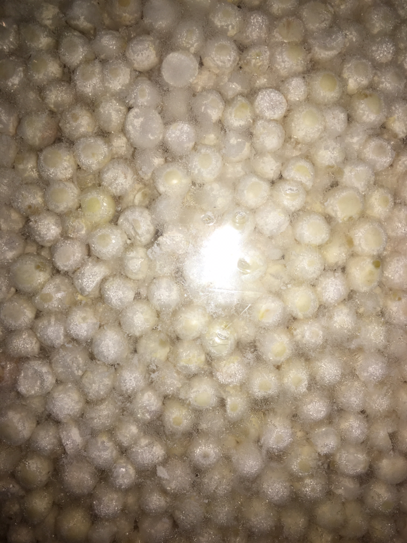 鲜芡实大水米