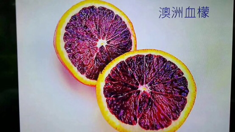 澳洲血檬