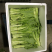 红菜苔、白菜苔，新鲜采摘，专车发货！
