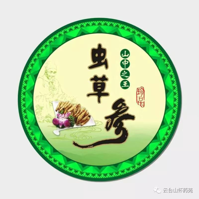 天山虫草参