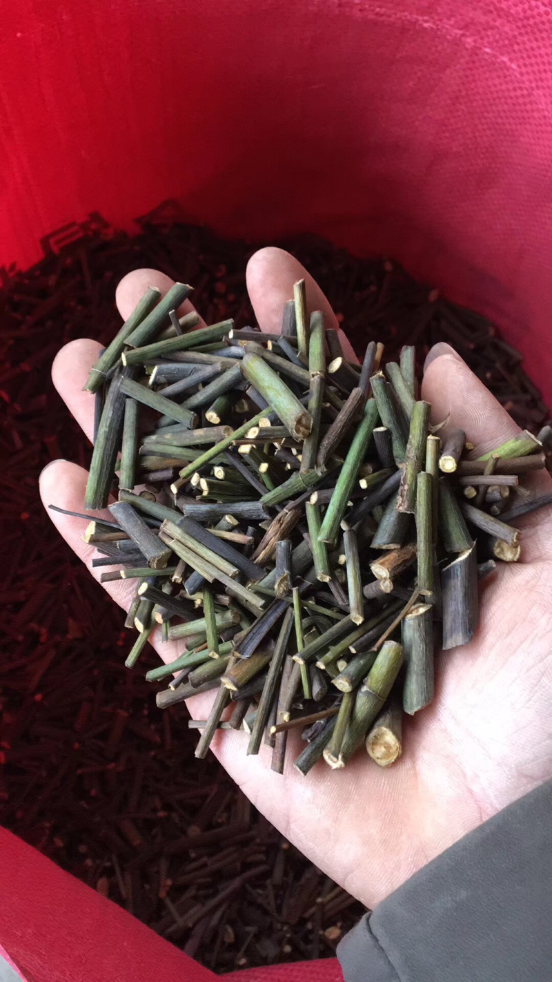 钩藤棒大量货源