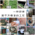 2021新茶上市安溪感德原产地直销铁观音产地直销1斤装