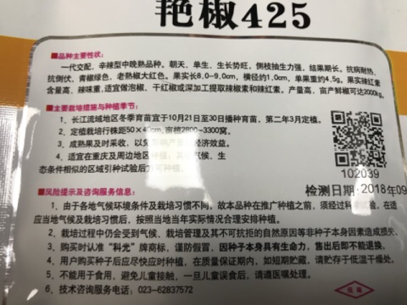科光燕椒425朝天椒种子