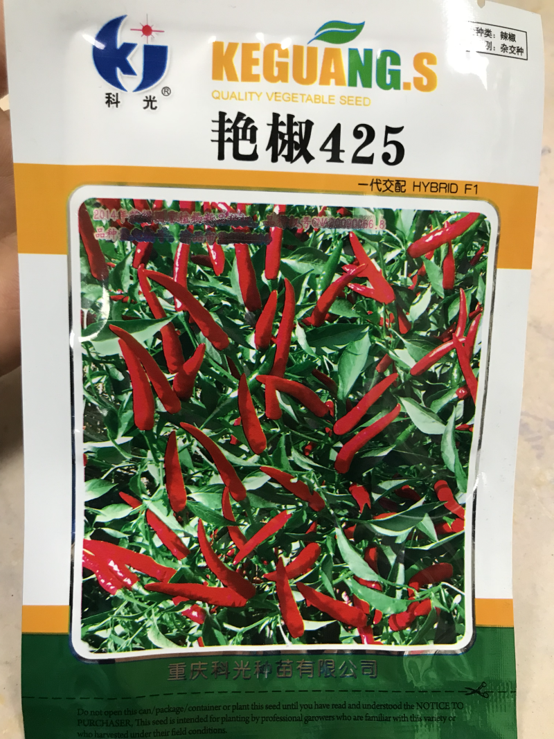 科光燕椒425朝天椒种子