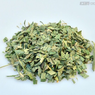 淡竹叶