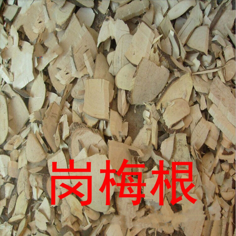 岗梅根