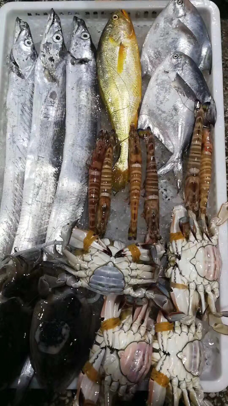 海鲜大礼包干货冻品批发