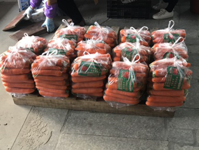 厦门红萝卜开拔了