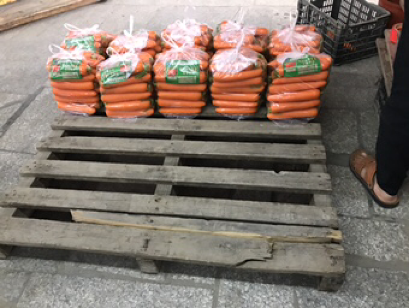 厦门红萝卜开拔了