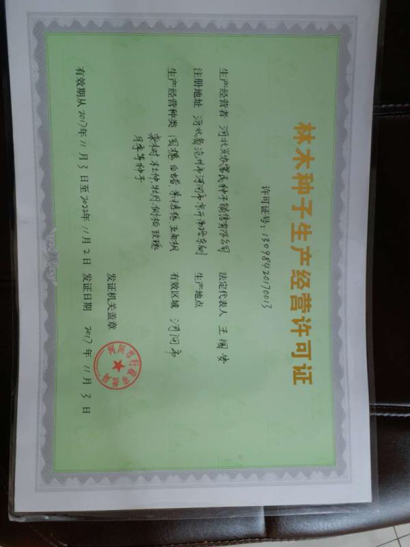 早熟高产辣椒种子抗病牛角辣椒，亩产万斤