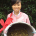 江西农家自榨山茶籽油山茶油老茶子油月子油茶仔油食用油