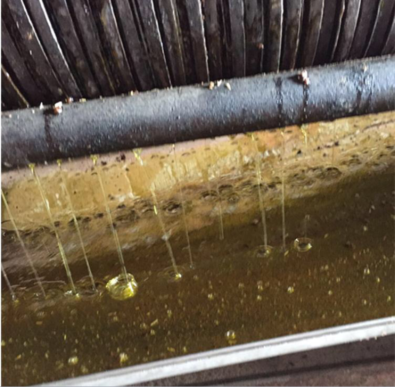 江西农家自榨山茶籽油山茶油老茶子油月子油茶仔油食用油