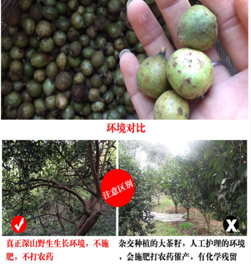 江西农家自榨山茶籽油山茶油老茶子油月子油茶仔油食用油