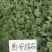 优质茄子苗，绿美系列，西安绿茄，紫茄，面包花茄，嫁接茄子