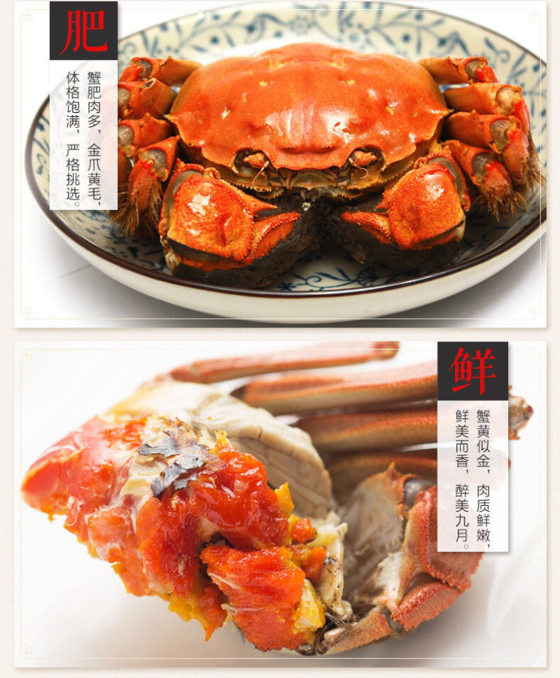 2|六月黄蟹宴|大闸蟹河蟹螃蟹鲜活全公蟹现货