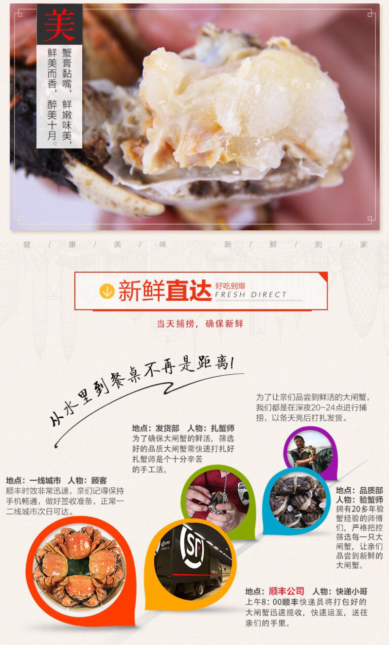 2|六月黄蟹宴|大闸蟹河蟹螃蟹鲜活全公蟹现货