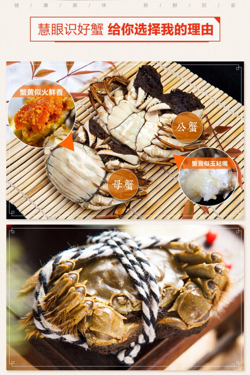2|六月黄蟹宴|大闸蟹河蟹螃蟹鲜活全公蟹现货