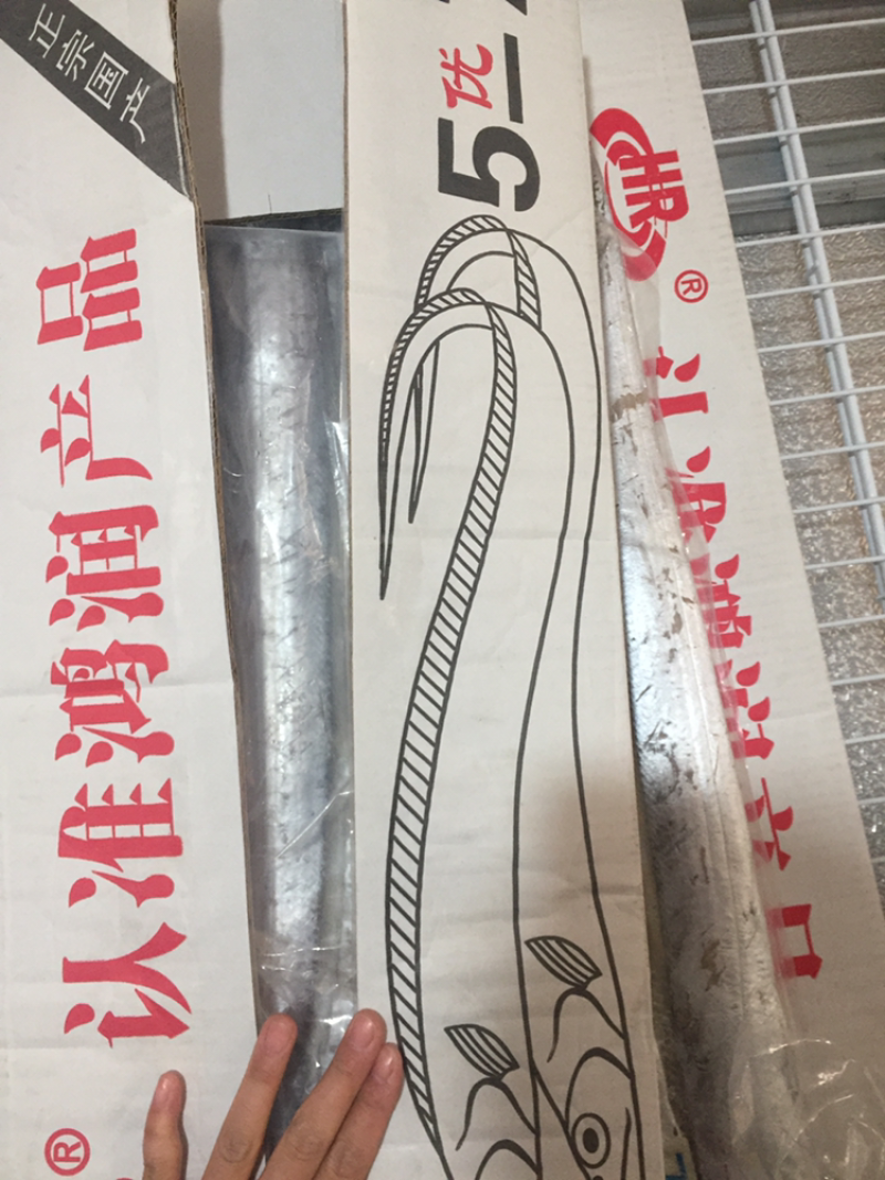 刀鱼