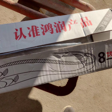 刀鱼