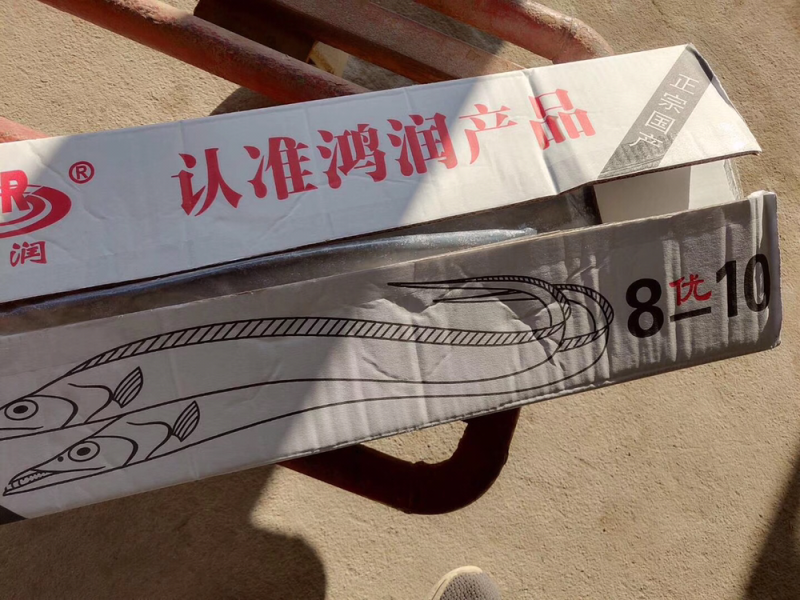 刀鱼