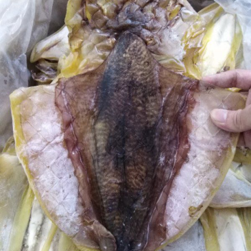 大墨鱼干