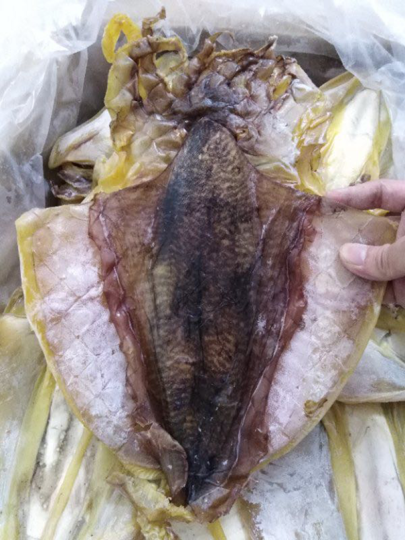 大墨鱼干