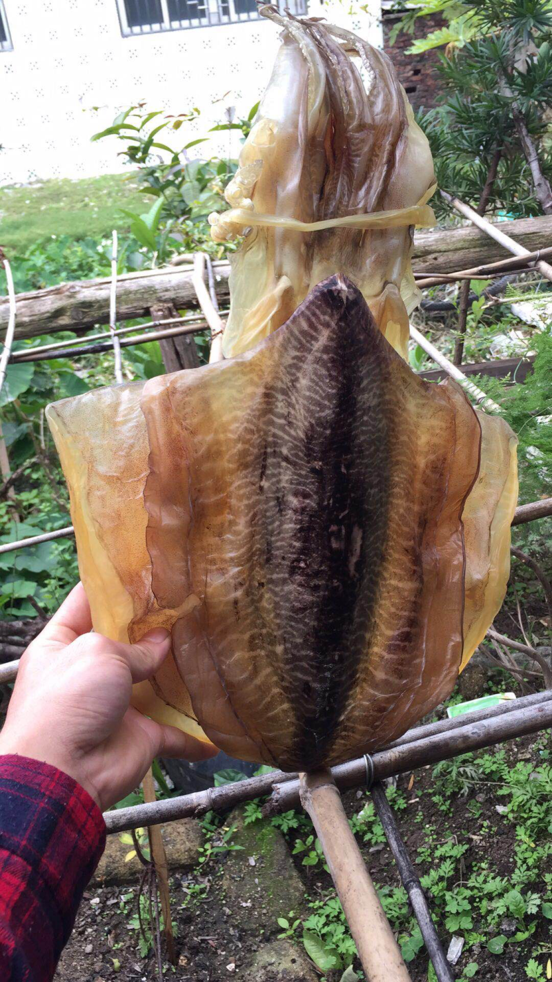 大墨鱼干