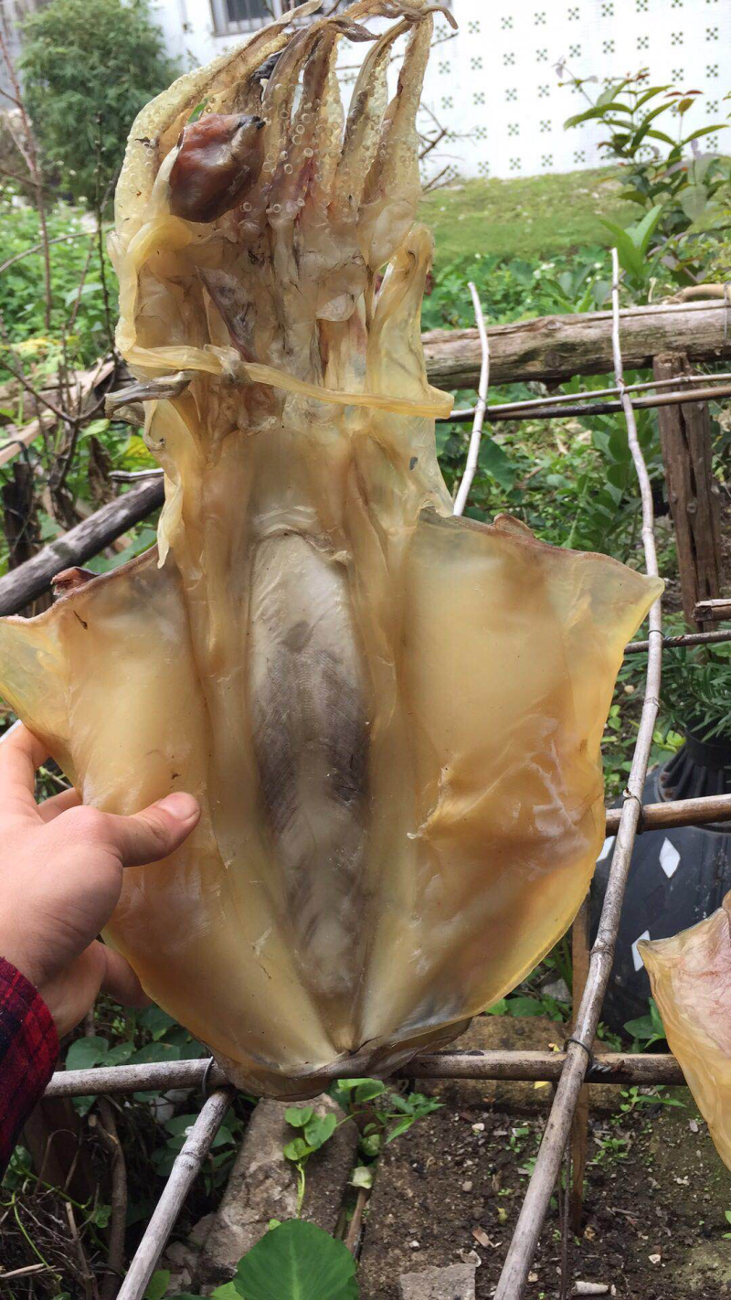 大墨鱼干