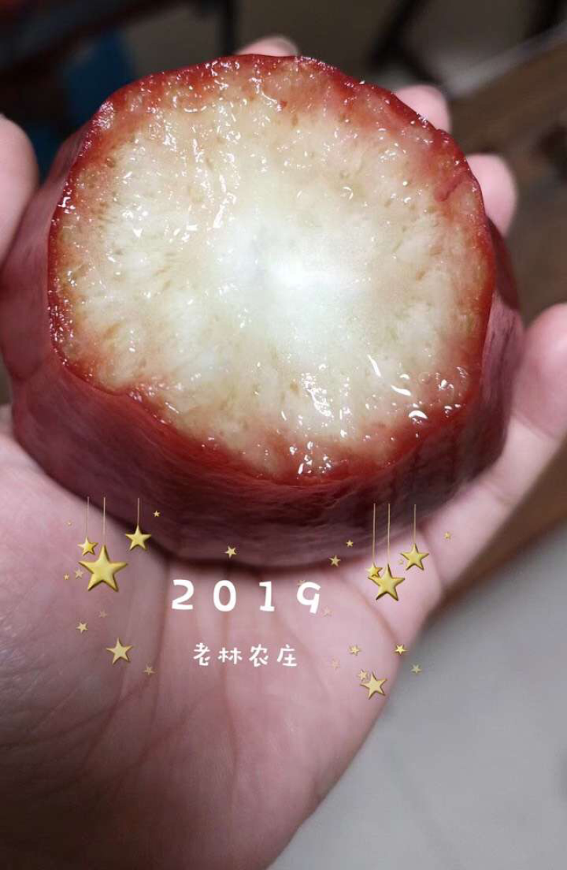 海南黑金刚莲雾