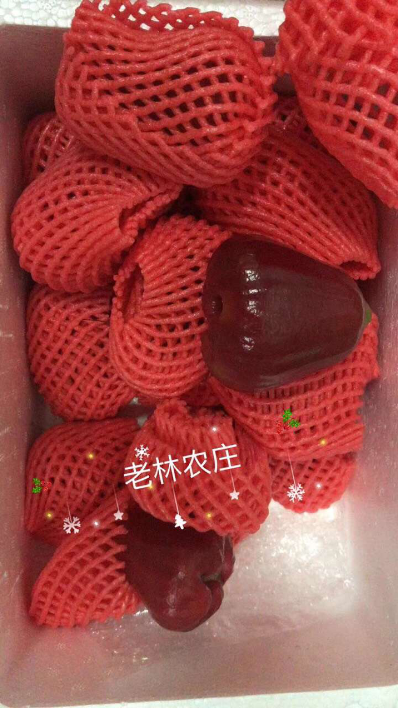 海南黑金刚莲雾