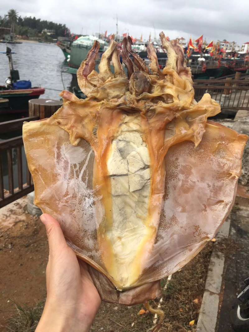 海南深海大墨鱼干