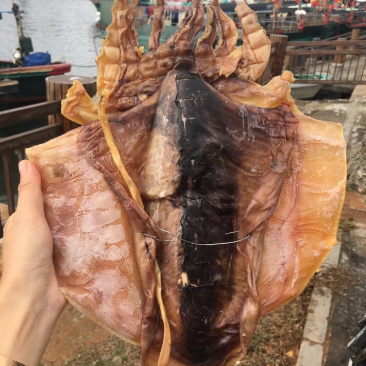 海南深海大墨鱼干