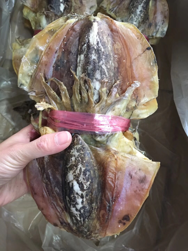 海南深海大墨鱼干