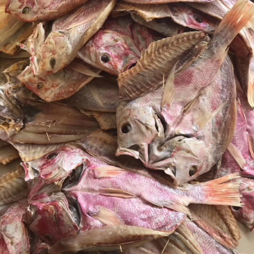 海南深海红鱼干