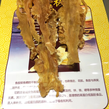海南深海鱼胶花胶