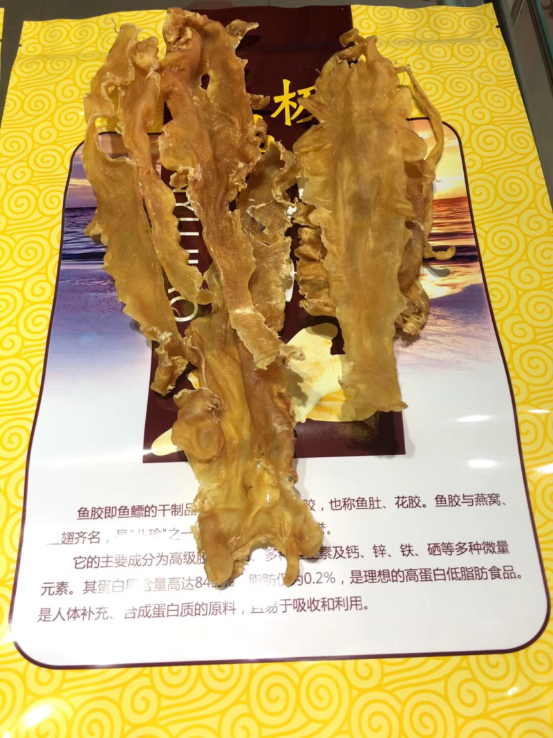 海南深海鱼胶花胶