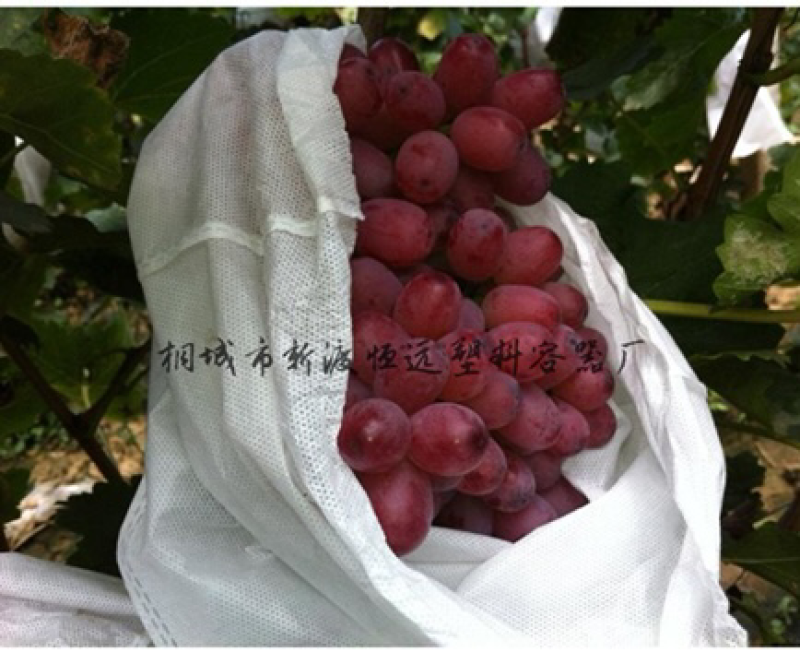 无纺布葡萄套袋防水放鸟防虫透气性更好
