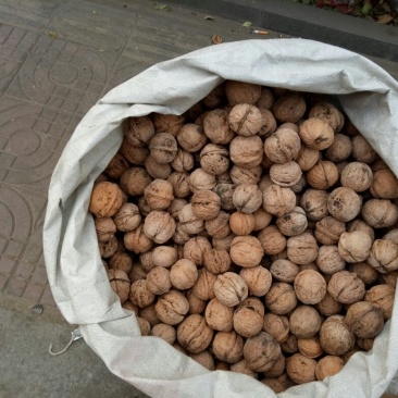 绵核桃25mm以下去皮干