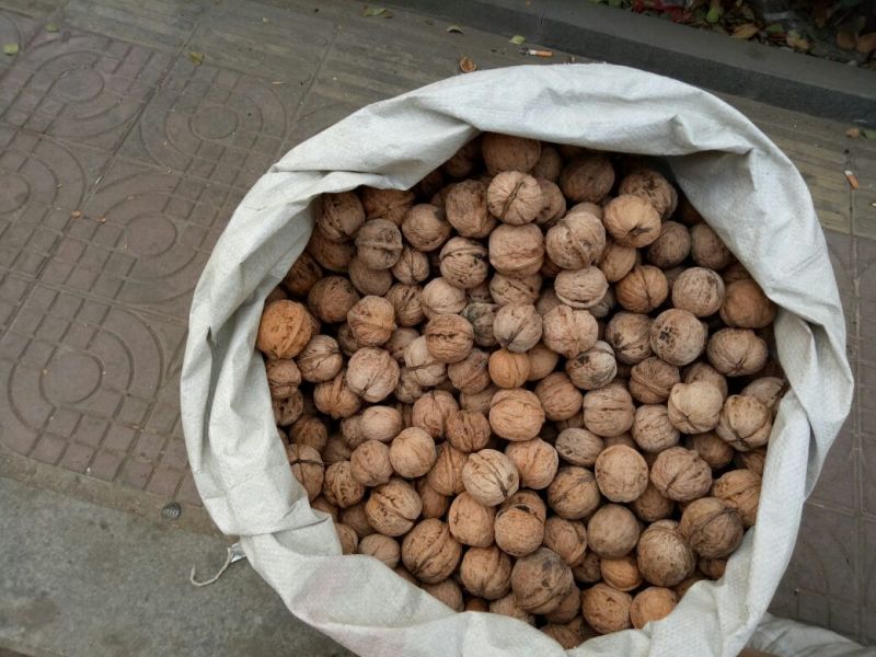 绵核桃25mm以下去皮干