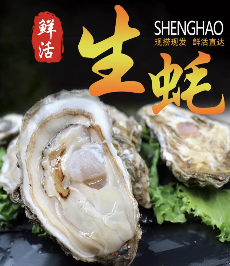 汫洲大生蚝