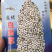 高产白高粱种子，适应性广抗病强亩产2000斤