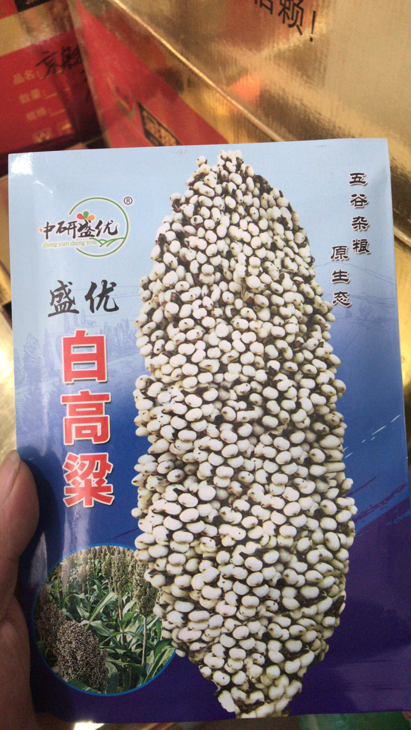 高产白高粱种子，适应性广抗病强亩产2000斤
