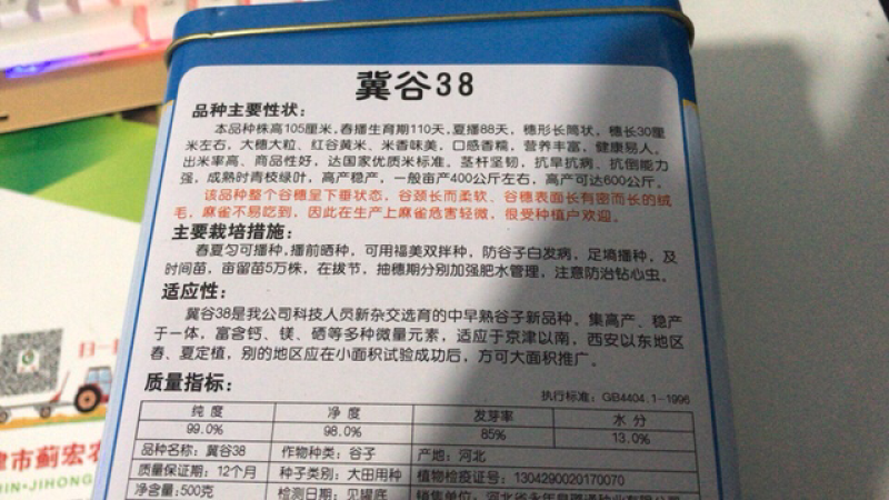 冀谷38号高产谷子种子小米种子米质香糯