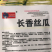 蔬菜种子批发长香丝瓜种子高产抗病易种植