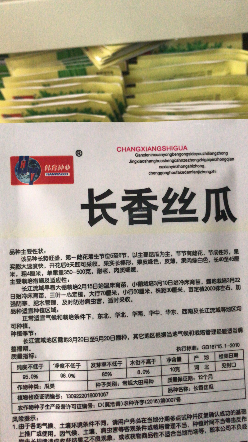 蔬菜种子批发长香丝瓜种子高产抗病易种植