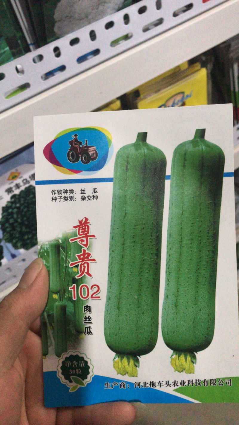 尊贵102杂交长肉丝瓜种子高产抗病口感好
