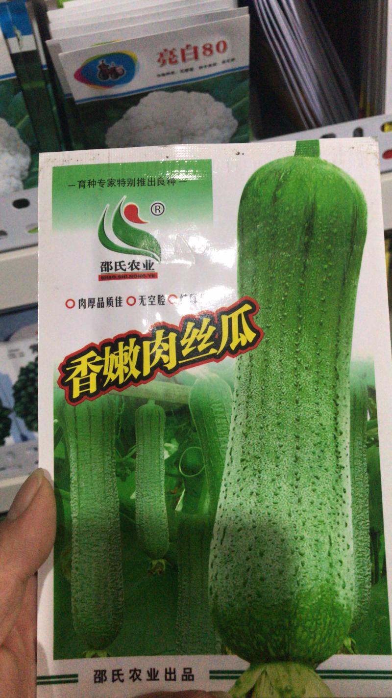 香嫩肉丝瓜种子早熟高产抗病新品种