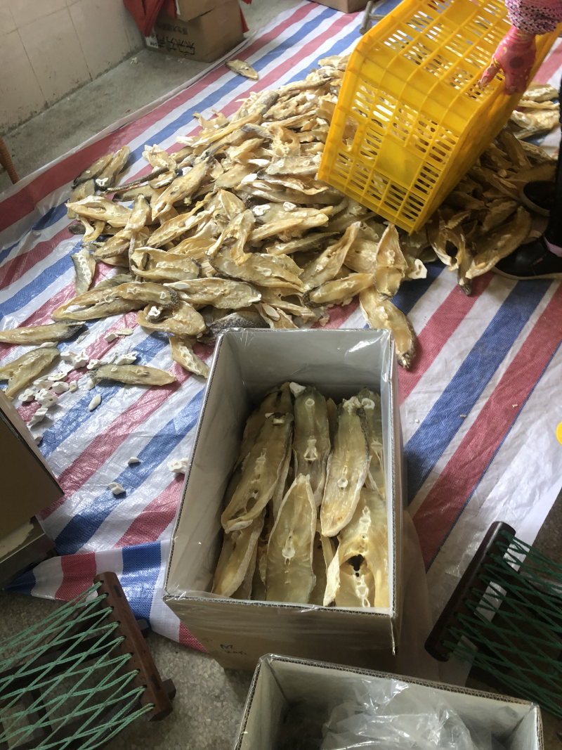 单线，南仓，马有干🐠片