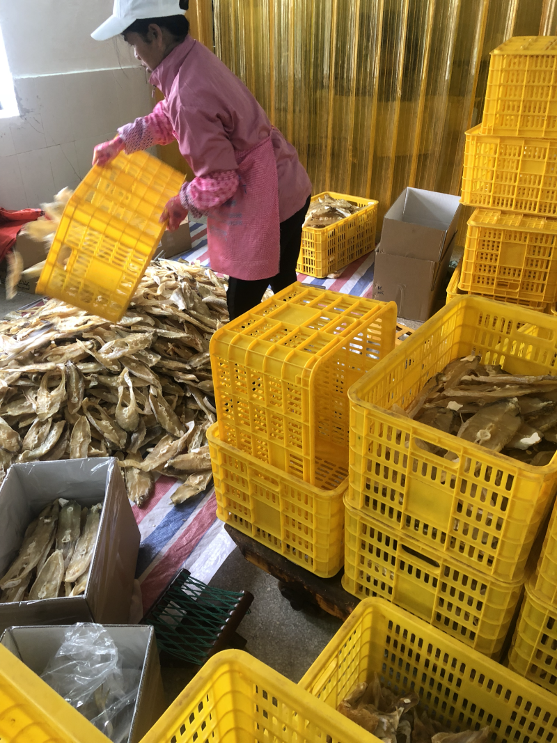 单线，南仓，马有干🐠片